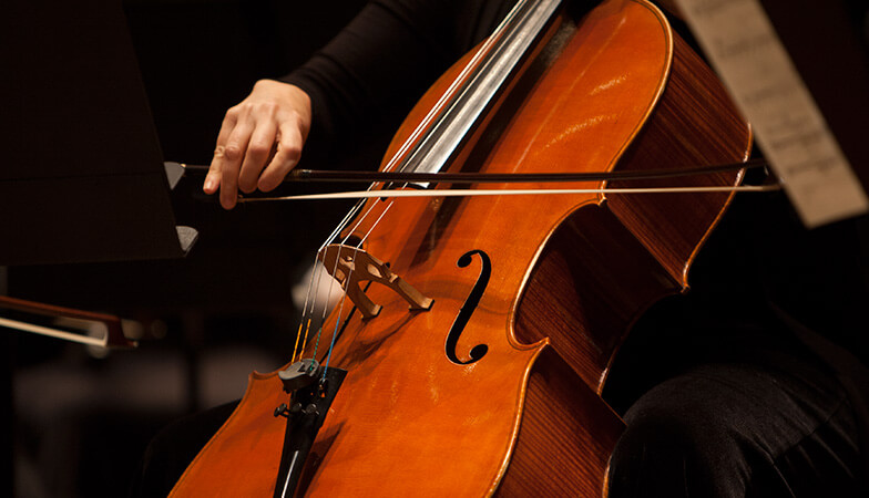 A cello close up