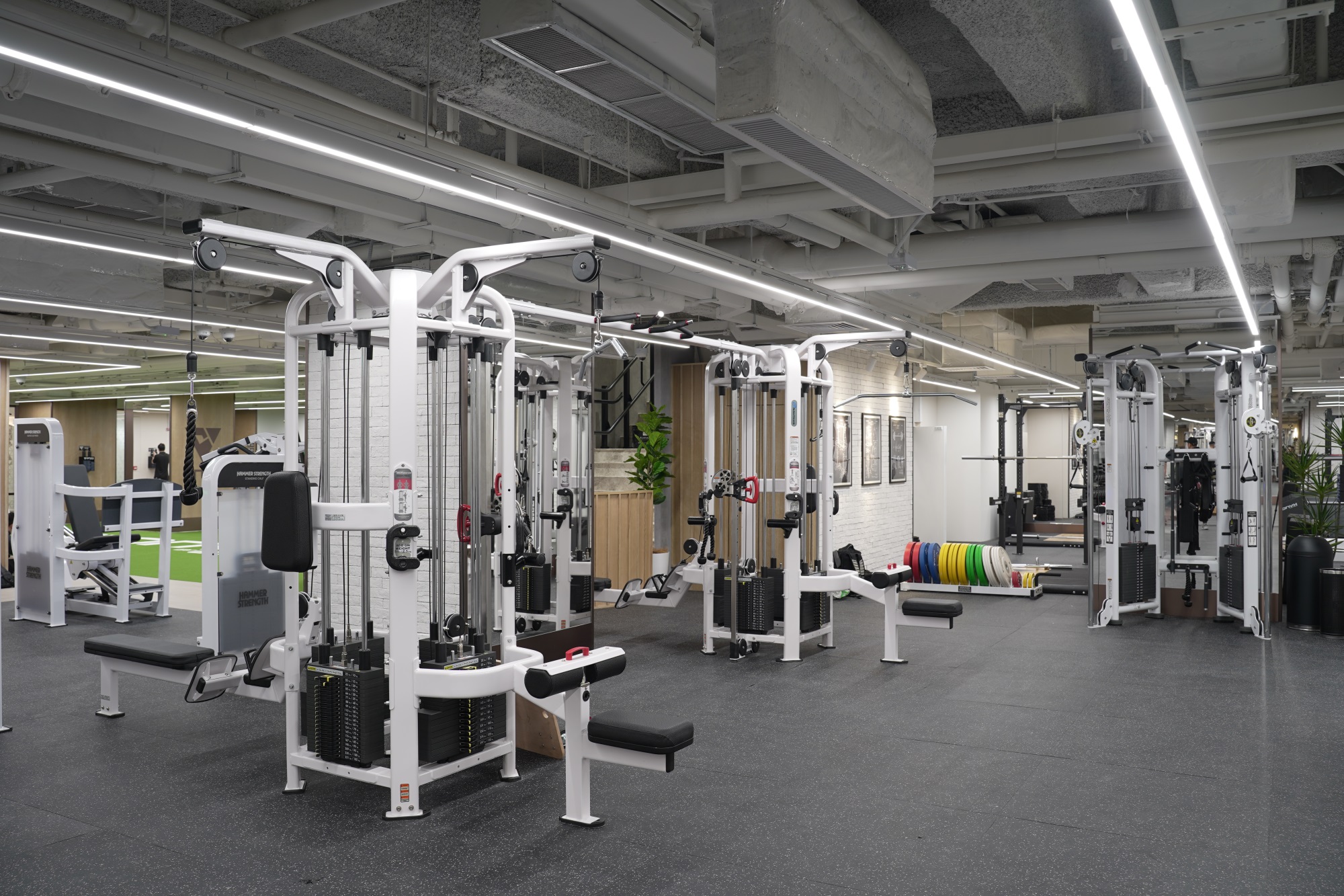 Central Onyx strength gym