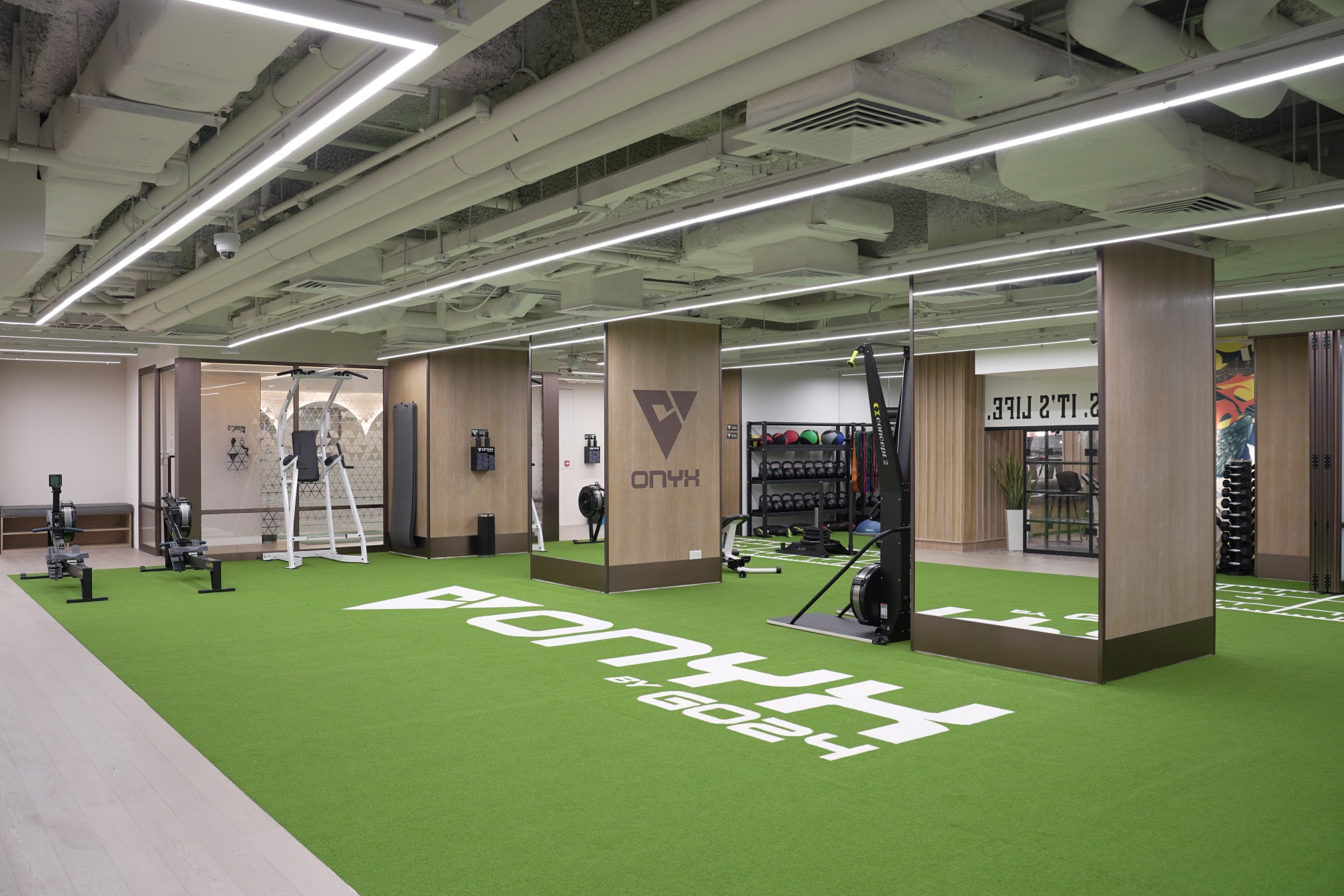 Central onyx functional training gym